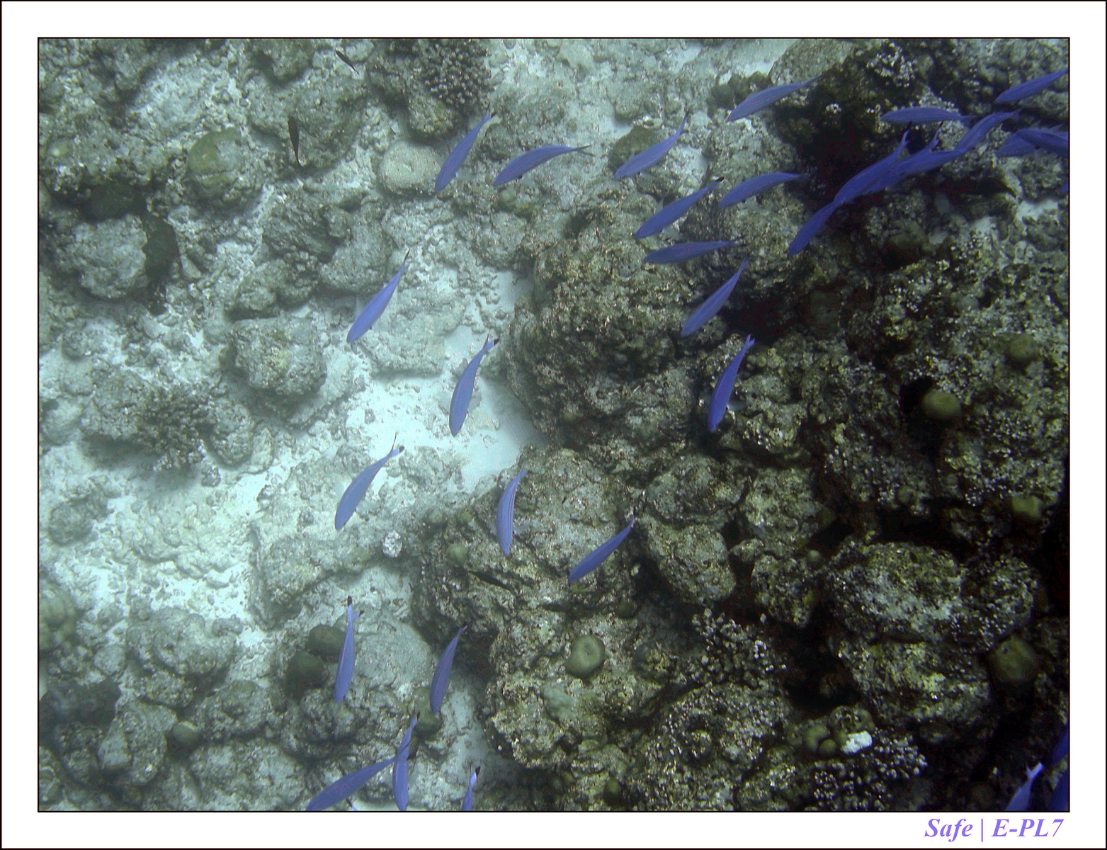 2019 - 07 - Snorkeling maldives - 22